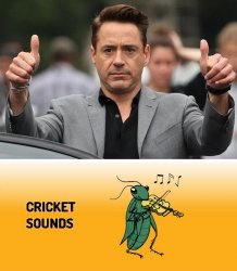 Cool Before Crickets After Meme Template