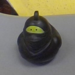 Ninja Rubber Duck Meme Template