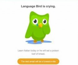Duolingo bird Meme Template