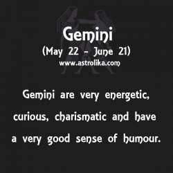 Gemini - Energetic & Charismatic Meme Template