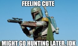 Boba fett feeling cute Meme Template