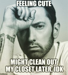 Feeling cute Eminem Meme Template