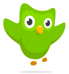Duolingo Bird Meme Template