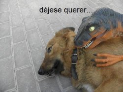 Déjese querer Meme Template