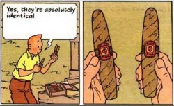 Tintin identical template Meme Template