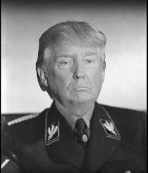 Nazi Trump Meme Template