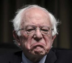 Bad day Bernie small Meme Template