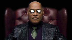 The All-Knowing Morpheus Meme Template