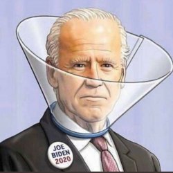 Joe Biden Meme Template