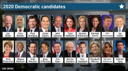 2020 Democratic Candidates Meme Template