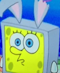 Mocking bunny spongebob Meme Template