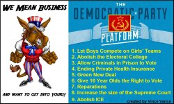 democrat platform Meme Template