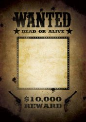 WANTED Meme Template