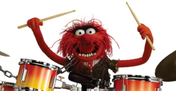 Animal Plays the Drums Meme Template