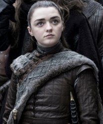 Arya Stark Meme Template