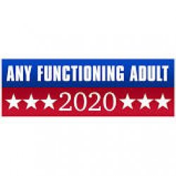 Any functioning adult in 2020 Meme Template