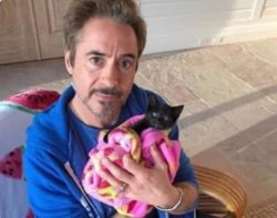 RDJ oh snap Meme Template