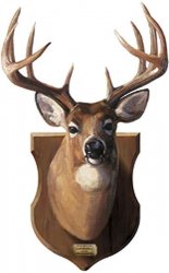 Deer Head On Wall Meme Template
