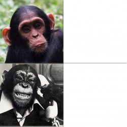 Monkey pooth Meme Template