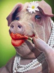 Lipstick on a Pig Meme Template