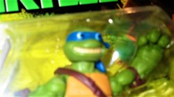Googly Eyes Ninja Turtle Meme Template
