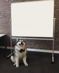 Professor Doggo Meme Template
