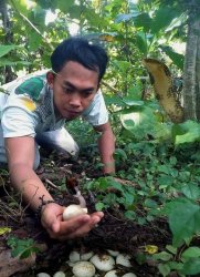 darwin Meme Template