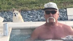 Hulk Hogan hot tub Meme Template