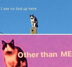 No god up here cat Meme Template