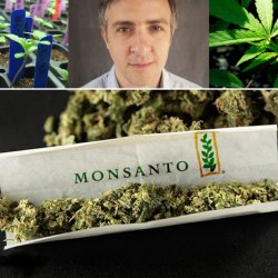 Monsanto Mowgli Meme Template