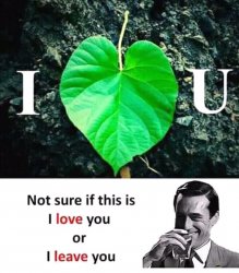 Not sure I love you or I leave you Meme Template
