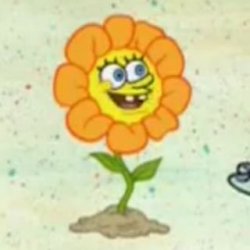 Flower Spongebob Meme Template