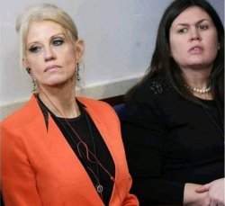 Kellyann Sara Meme Template