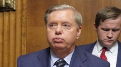 Lindsey traitor Meme Template