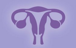 Purple Uterus Meme Template