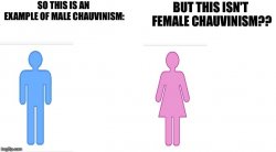 Sexist Double Standard Meme Template