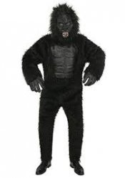 Guy In Gorilla Suit Meme Template