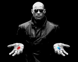 morpheus matrix blue pill red pill Meme Template