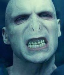 Confused Voldemort Meme Template