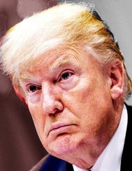 Unsettled Trump Meme Template