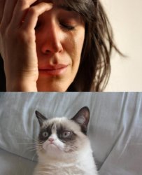 crying with grumpy cat Meme Template