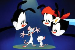 Pinky and the Brain Animaniacs Meme Template