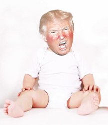 Trump Baby Meme Template