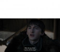Bran came all this way Meme Template