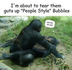 Monkeys Having Sex People Style Meme Template