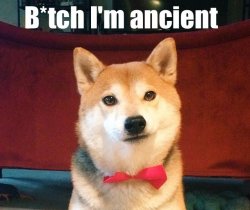 Ancient doge Meme Template