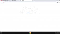 the browser rebooted to guest Meme Template