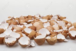 Egg shells Meme Template