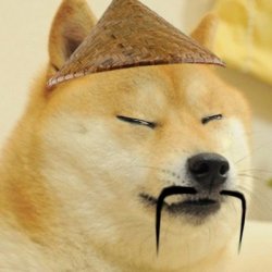 Chinese Doge Meme Template