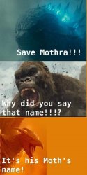 Why did you say that name!? Meme Template